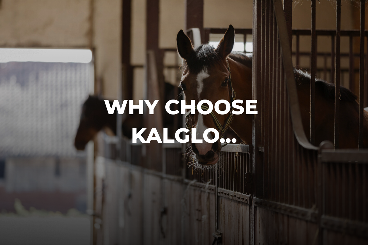 Why Choose Kalglo Infrared Heaters